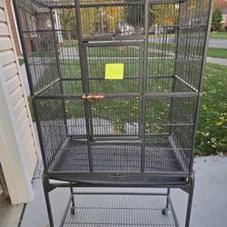 Birds Cage 