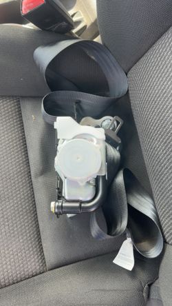 Cinturón de seguridad