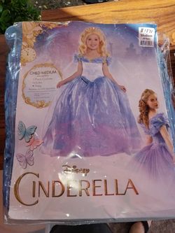 Cinderella costume new