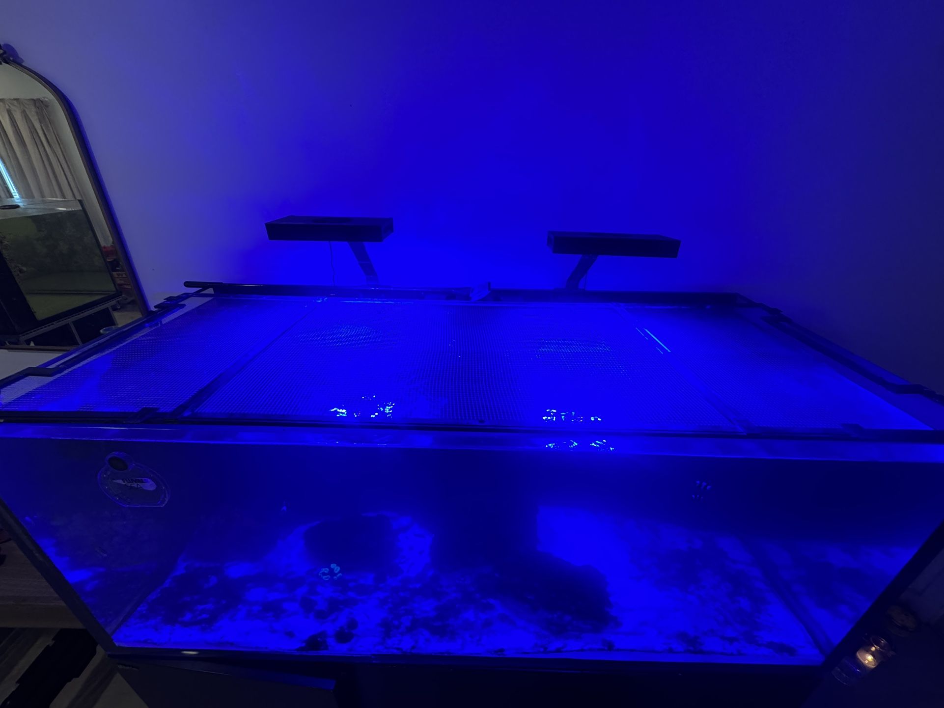 Red Sea 525 Xl Fish Tank /saltwater