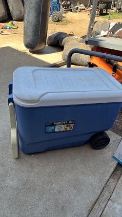 Cooler