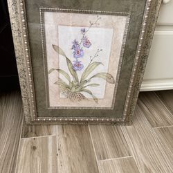 Set of orchid pictures