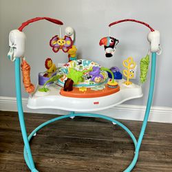 Fisher Price Baby Bouncer Animal Activity Jumperoo
