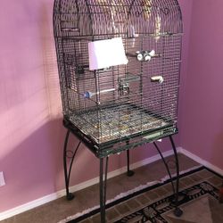 Bird Cage 