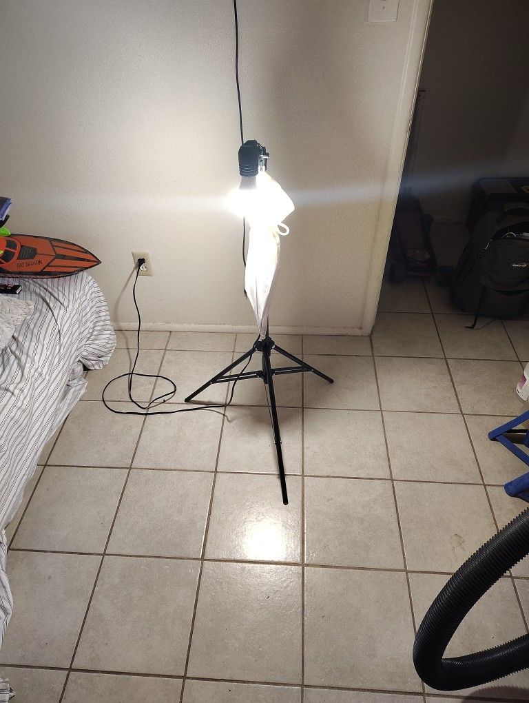 Photography Lights X2 $50