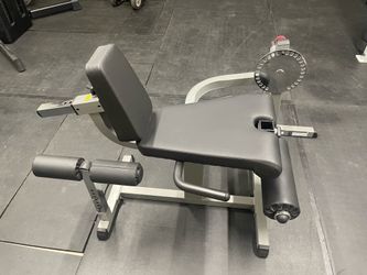 Leg Extension