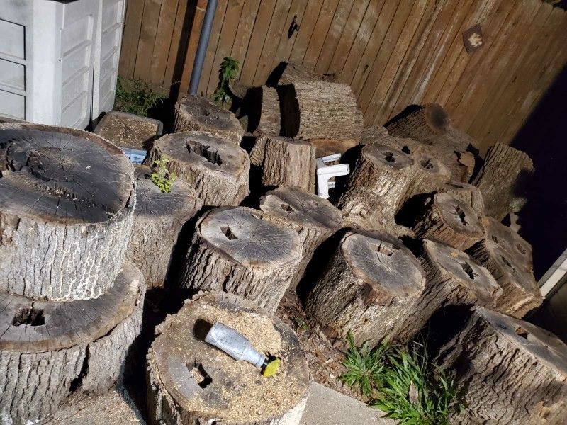 Wood / Logs / Tree Trunk Pieces