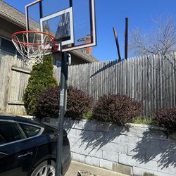 Basketball Hoop ( From Dick Sporting Goods )