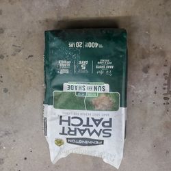 Grass Seed Bare Spots Caused By Pets And Lawn Disease