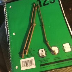 (3) Thompson Green Seedless Grape Cuttings