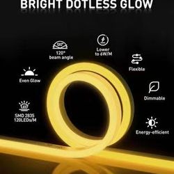 32.8 ft  Warm White / Shine Decor LED Rope Lights AC 120V, Connectable & Cuttable Dotless 120LEDs/M Eco Neon Strip Lighting, ETL IP65 Waterproof & Wea