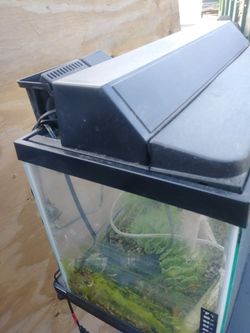 20x11x10 fish tank with pump and motor included