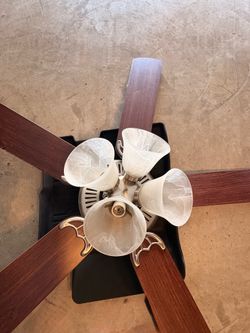 Ceiling Fan with Light Kit