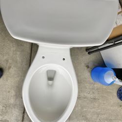 Large Kholer Sink