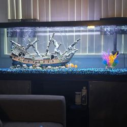 125gallon tank and stand