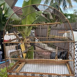 Bird Cage Canary 