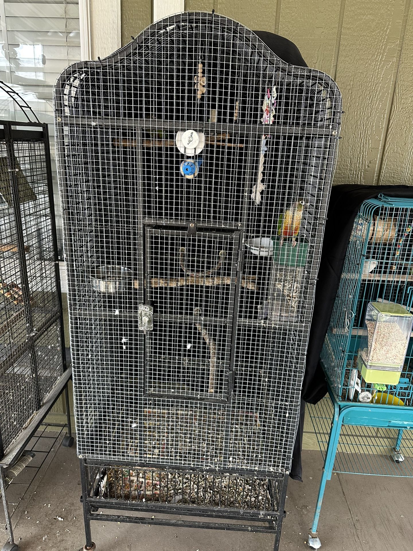 Bird Cage