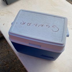 Rubbermaid Small Lunch Cooler $10 