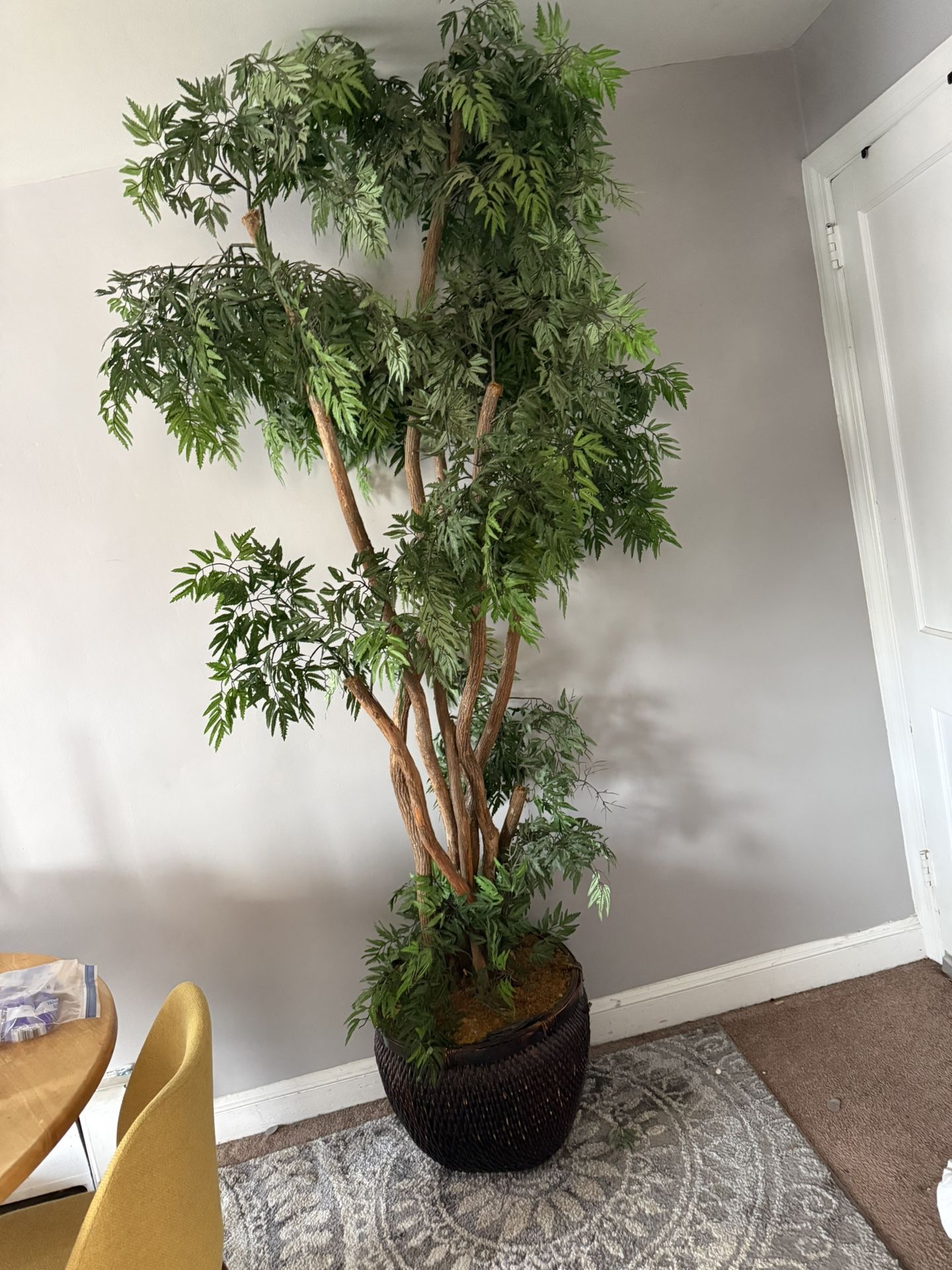 Artificial Ficus Tree