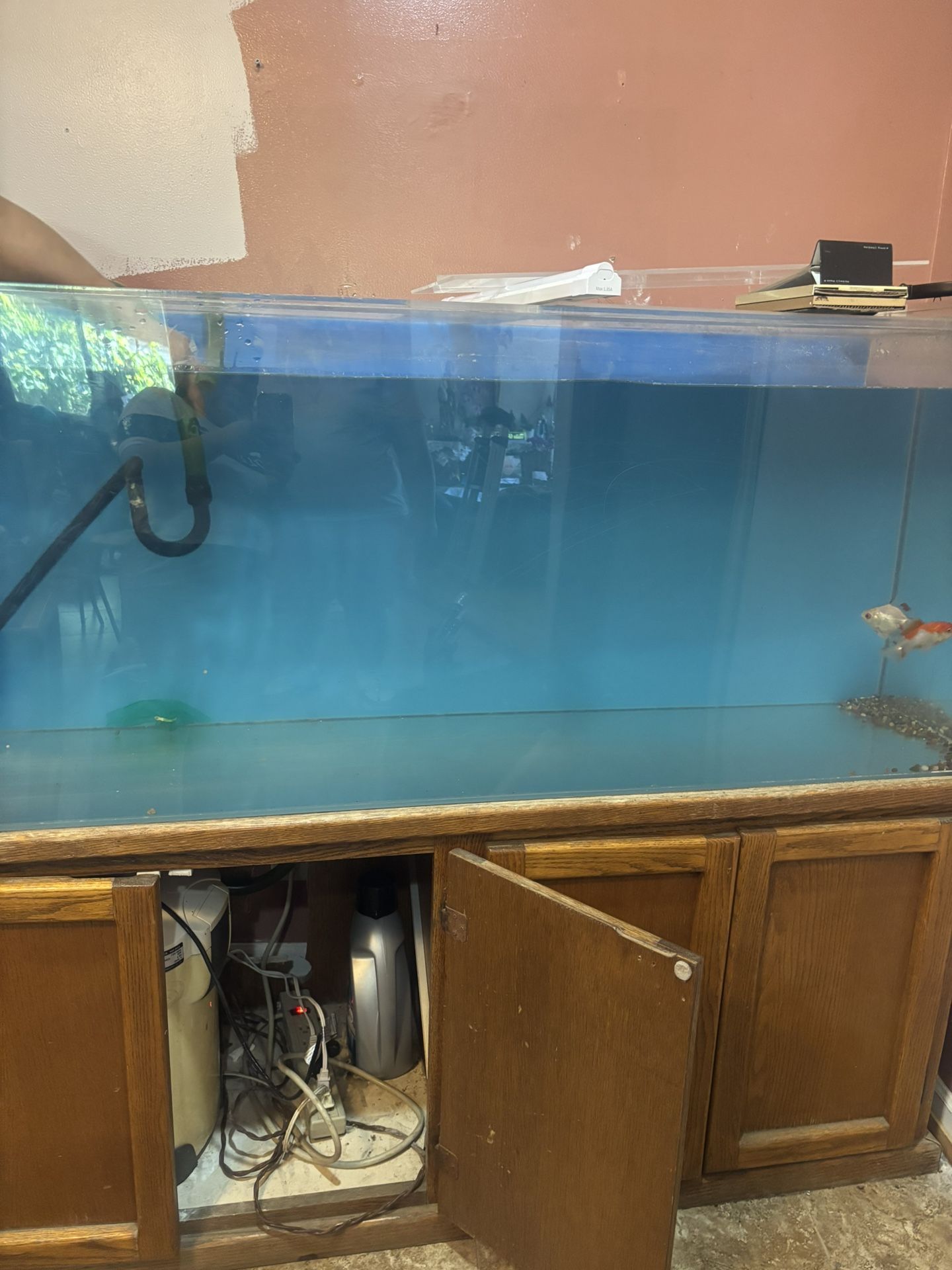 Large Fish Tank