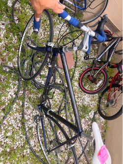 Trek 2100