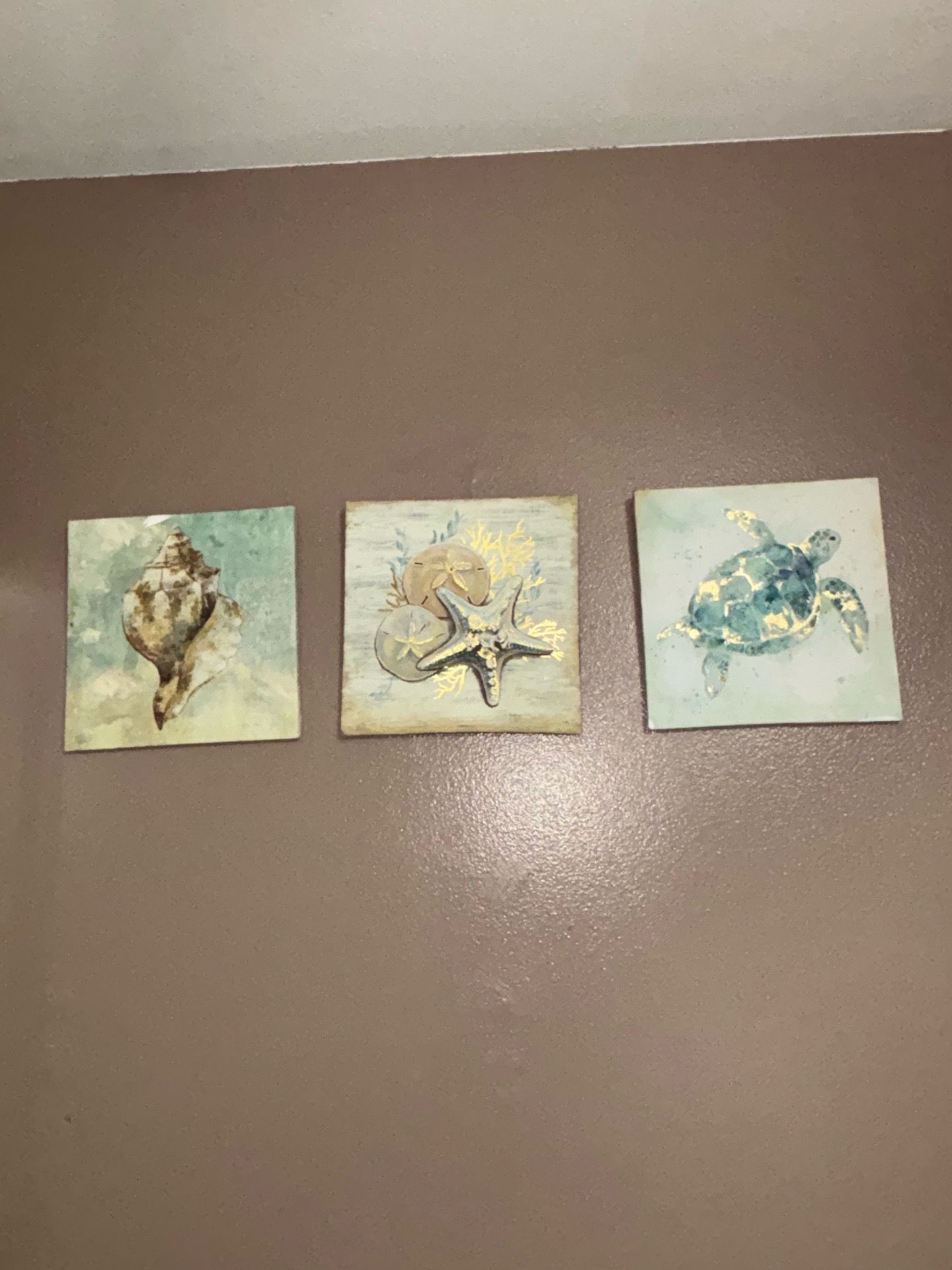 Shell paintings