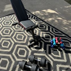 Weight Bench and Free Weights 