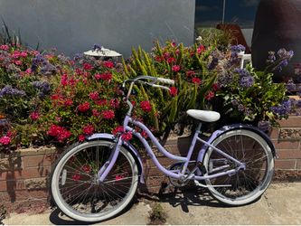 Woman’s Purple Beach Cruiser.