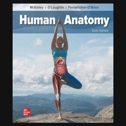 Human Anatomy 