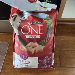 Dog Food