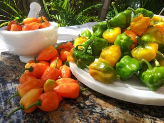 Parkland Farmers Market. Sunday March 17th