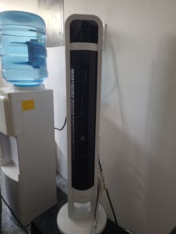 Fan