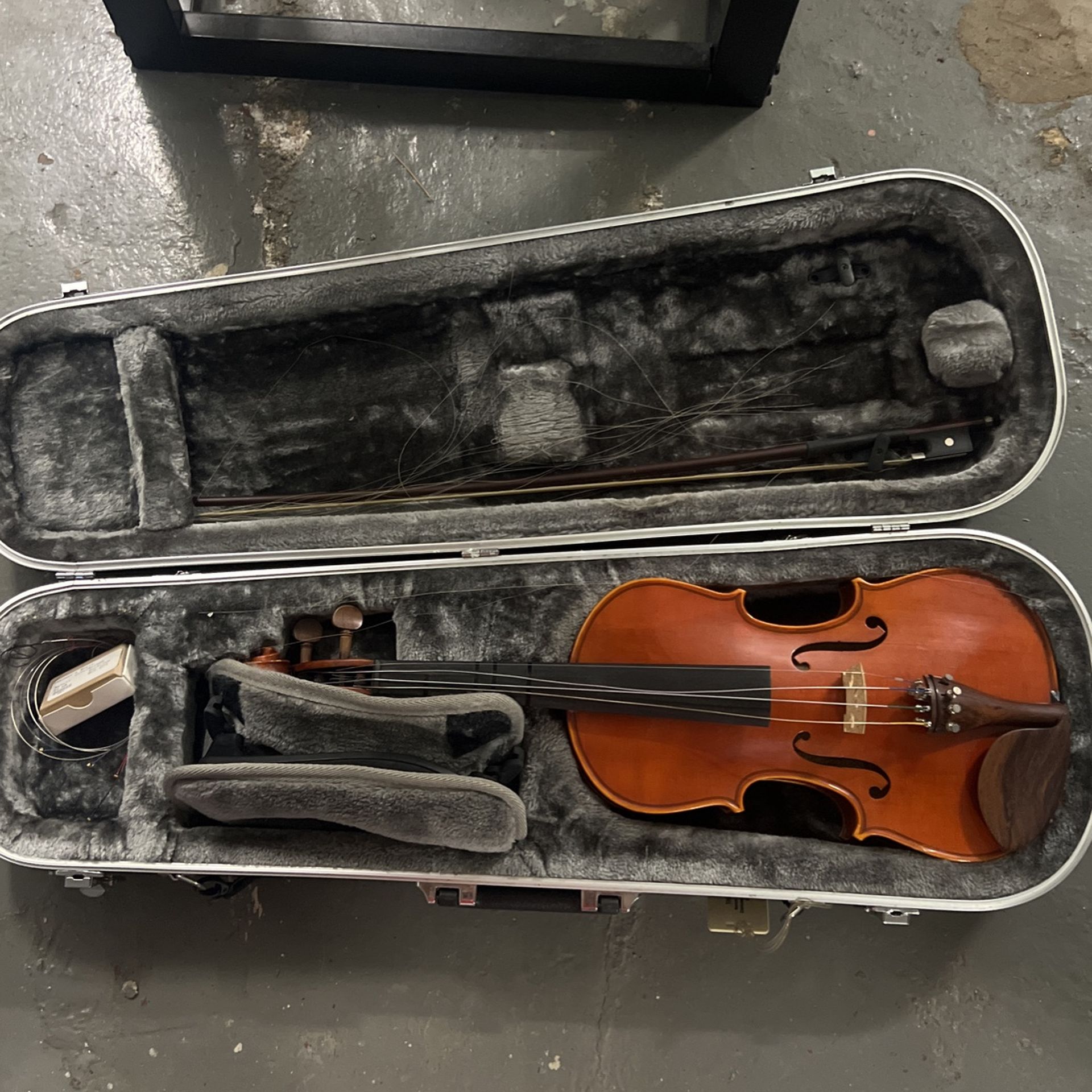 Violin