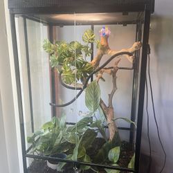 Reptile Enclosure, Tall