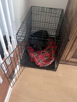 Black Metal dog kennel