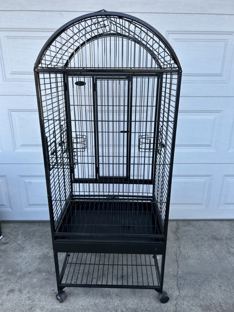 Bird Cage