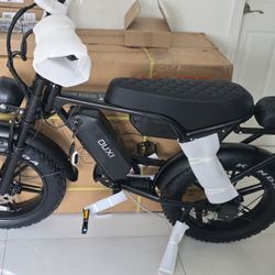 Brand New Electric Bike Bicicleta E-bike Dual Seater  Dual Battery 