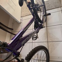 Schwinn  Bicycle in perfect condition