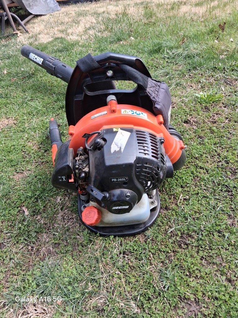 Echo Gas Leaf Blower