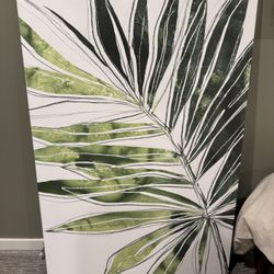 32”x48” Plant Canvas