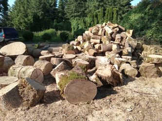 Oak Rounds 16" You Haul-$250 A Cord