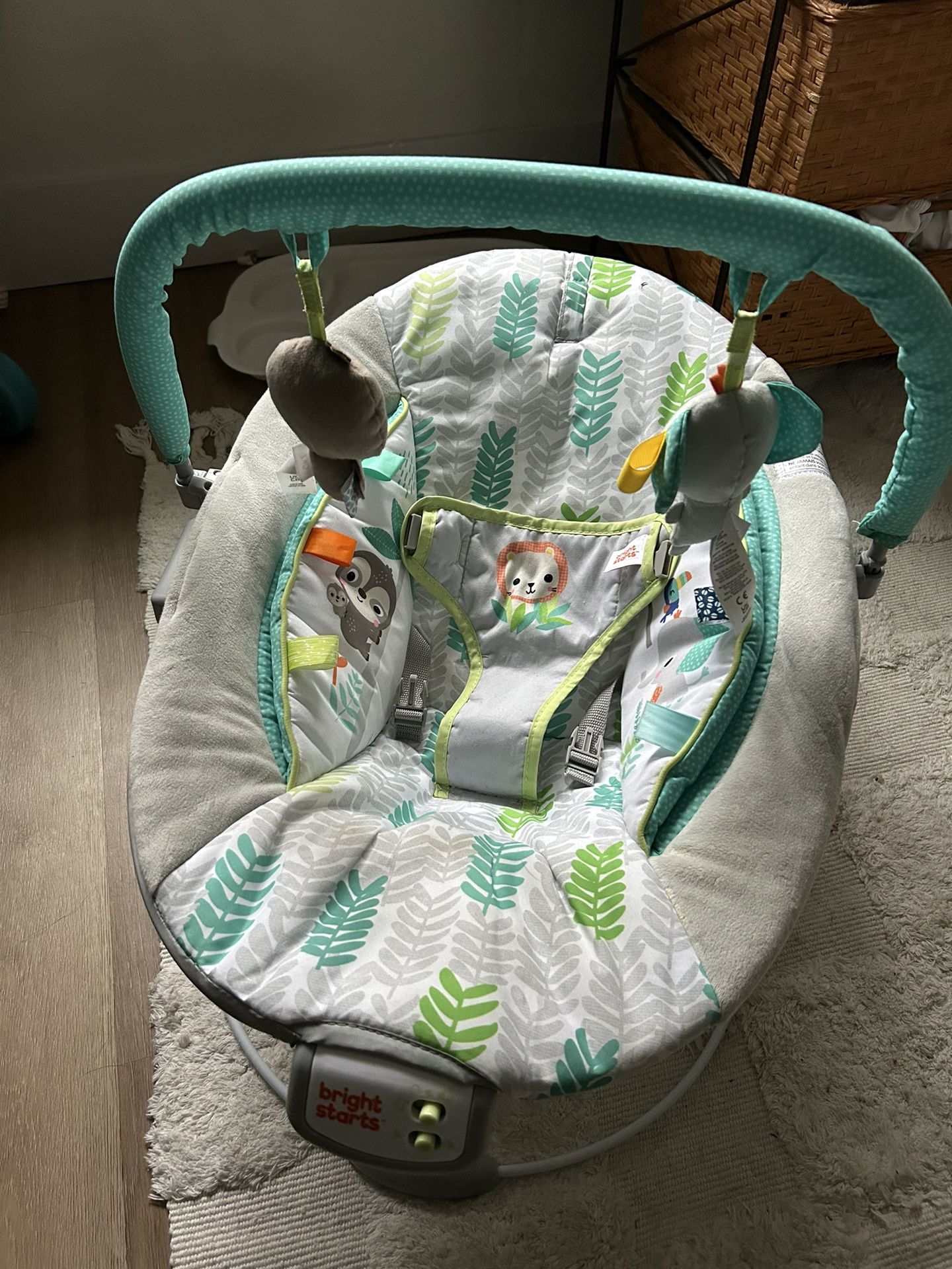 Baby bouncer!