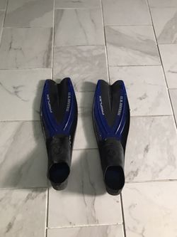 Divers swimming fins