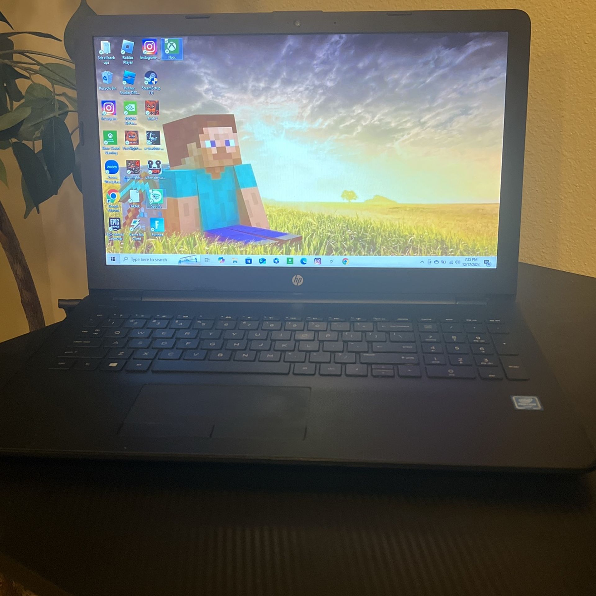 Hp Laptop