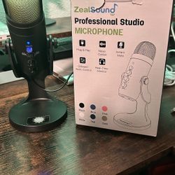 Professional Studio microphone (2)