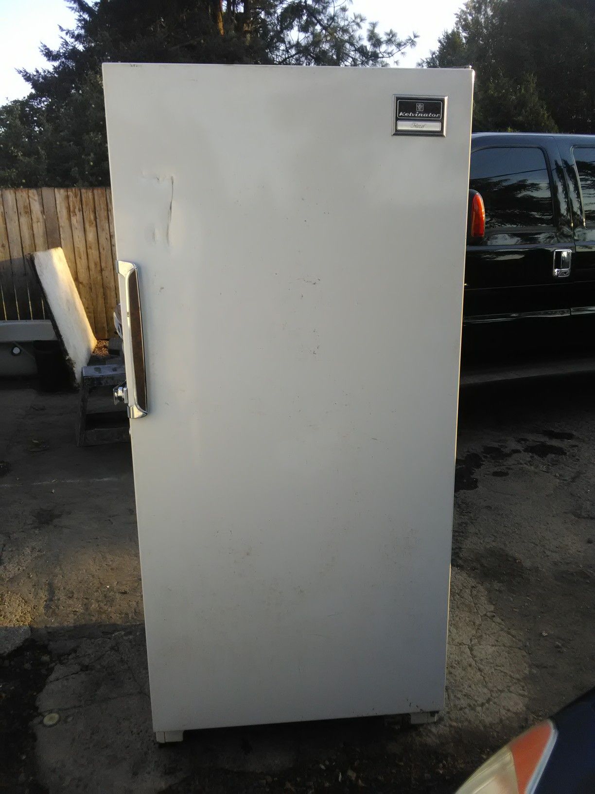 Kelvinator (21.1 cu. ft) Upright Freezer