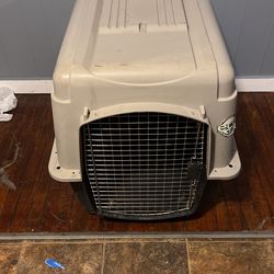 Pet Taxi Up To 50 Pounds
