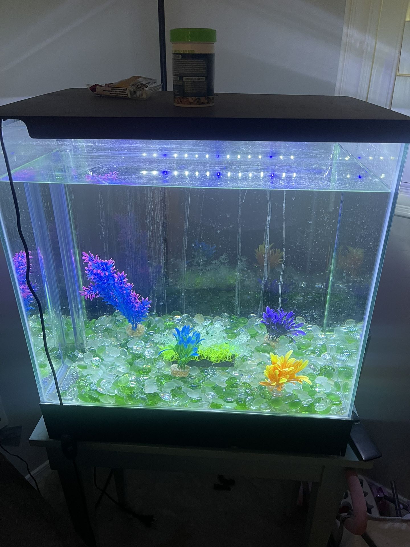 20 Gallon Waterfall Fish Tank