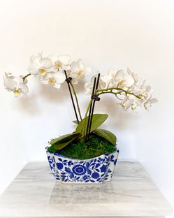 Blue & White Fine Porcelain Ceramic Bowl Planter Pot Bowl