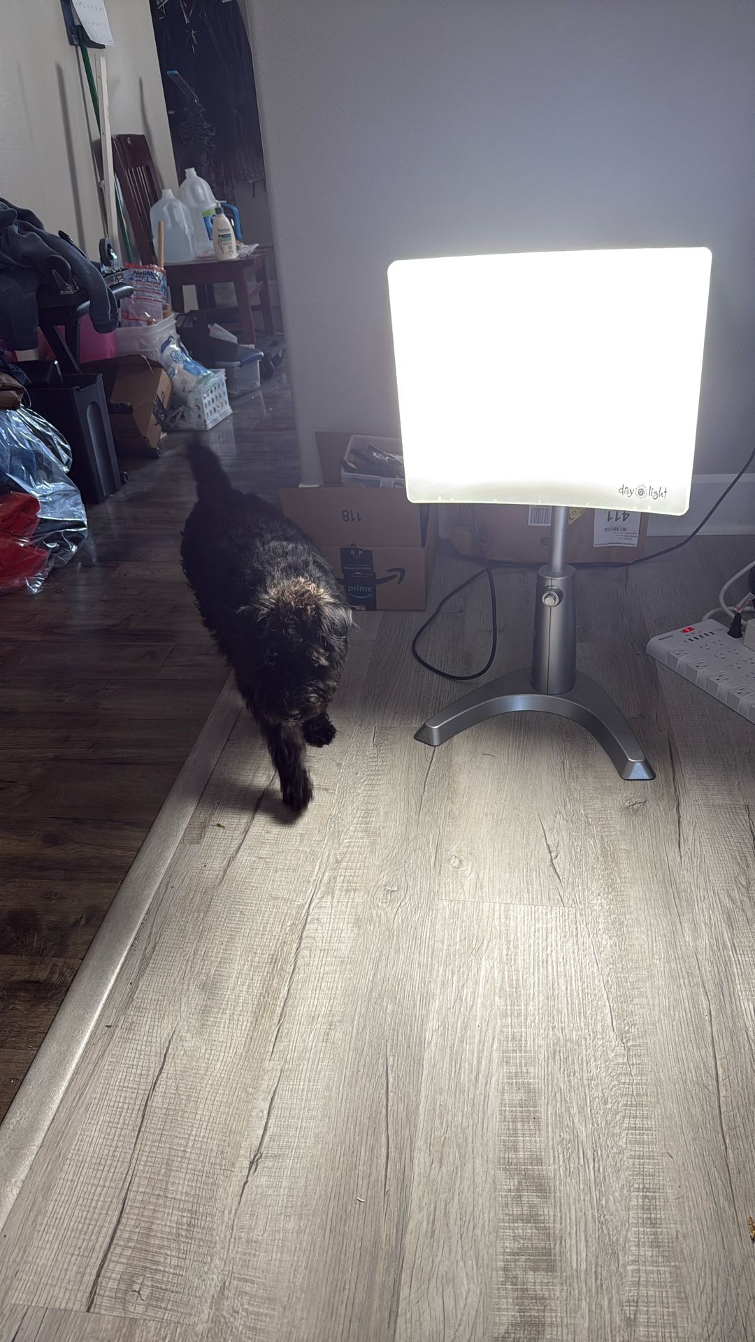 Day light Classic Light Therapy Lamp